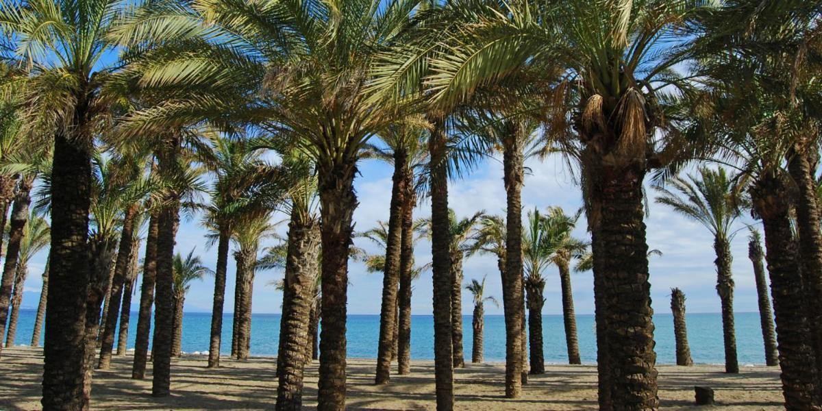 Apartamento Carole Playa Bajondillo Torremolinos Beach - Playa A 30 Segundos - Wifi - Parking - Terraza Apartment Exterior photo